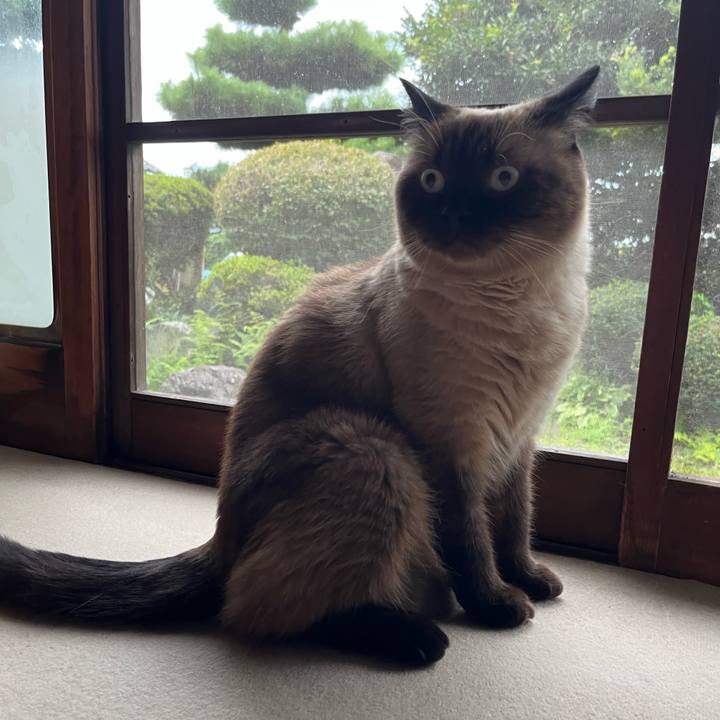 2ec4382a 8c9c 4642 b920 817289b9cd43 1660640342556