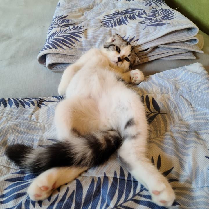 2ec450a9 8f44 4910 9653 7f590bb0c34d 1628235117057