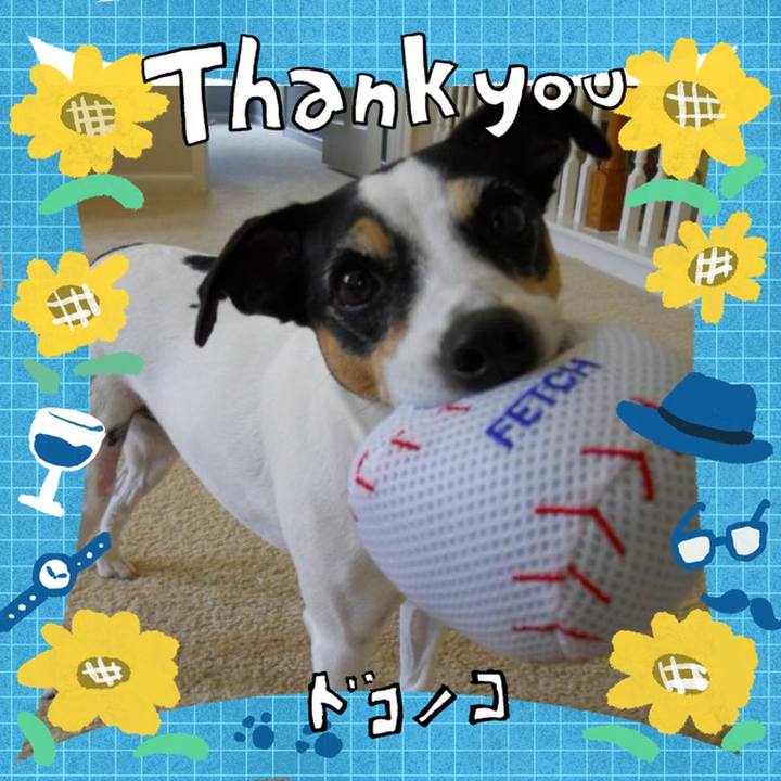 2ec46863 2b05 4576 86b5 545f09db85d6 1717797263105