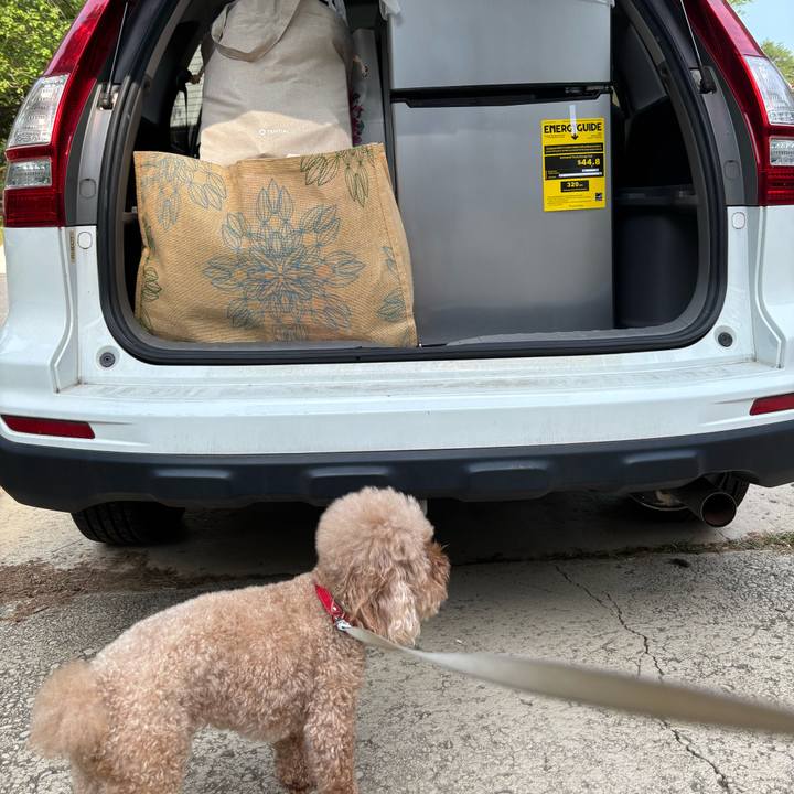 2ec46e50 a2d4 4bed bbdd 784512b86119 1755523312404