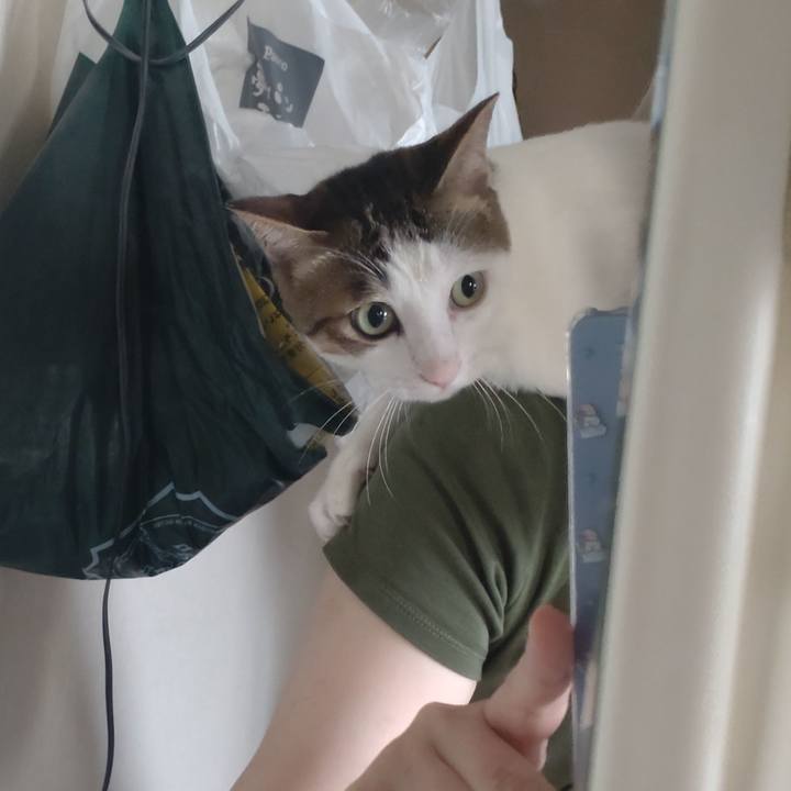 2ec4c5cf f96e 4571 b642 507eb738daf0 1690067606763