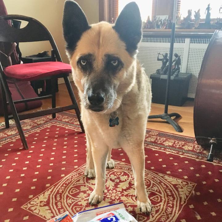 2ec4d043 6eee 4e99 9f51 fd713cc2403c 1523933608212