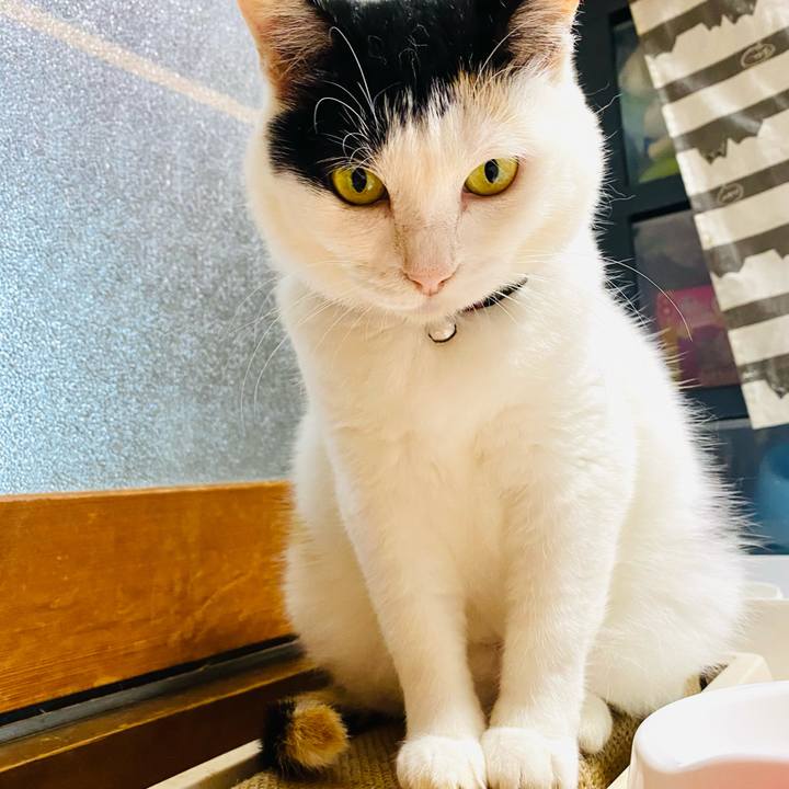 2ec4d5ea 7d68 4709 b9d8 0283477c3986 1689341039074