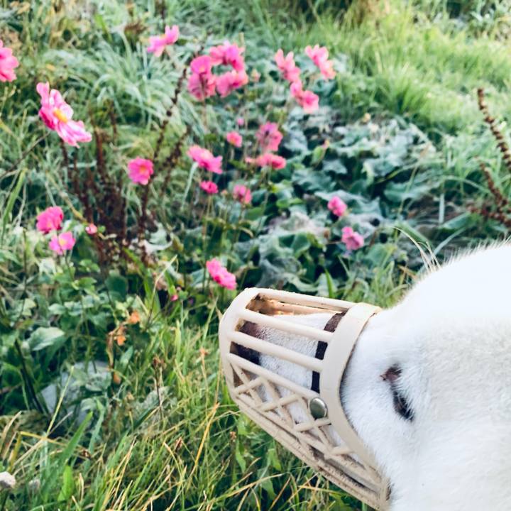 2ec4ecf5 794f 4ba5 8958 f6424357de20 1634592412925