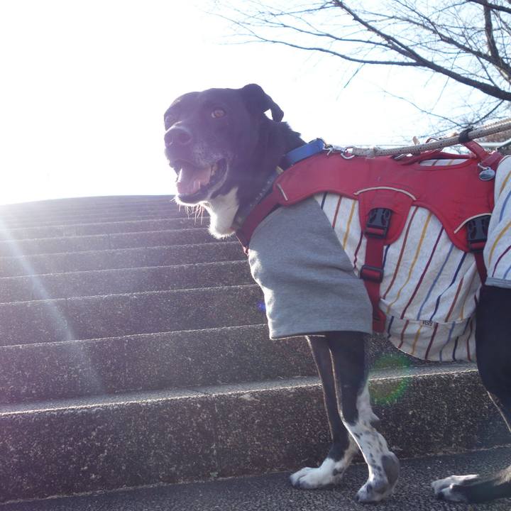 2ec509a0 8e43 44aa a9e7 7fe7392470f6 1678411197883