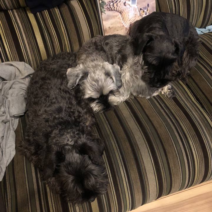 2ec51c22 7d96 4060 b310 10608129e8a8 1518556363708