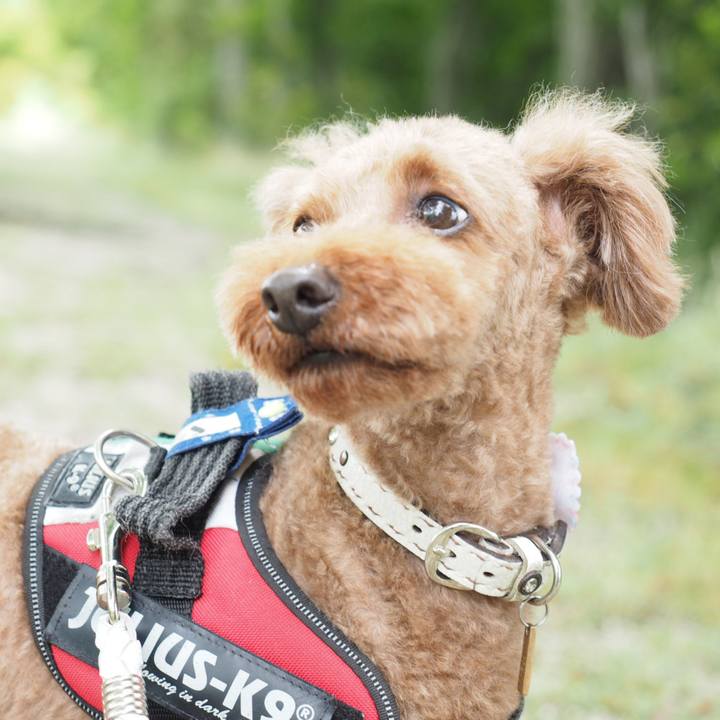 2ec51c3d a833 4f01 bce3 8e1df1683fa9 1561416971337