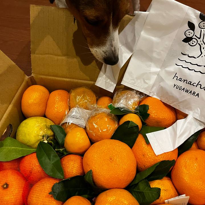 2ec51f71 8c71 4c22 b918 3a9def7c6c90 1734697500800