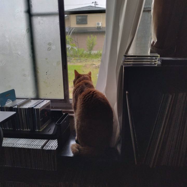 2ec53b33 9941 498b b245 45ad42a836e5 1686696727443