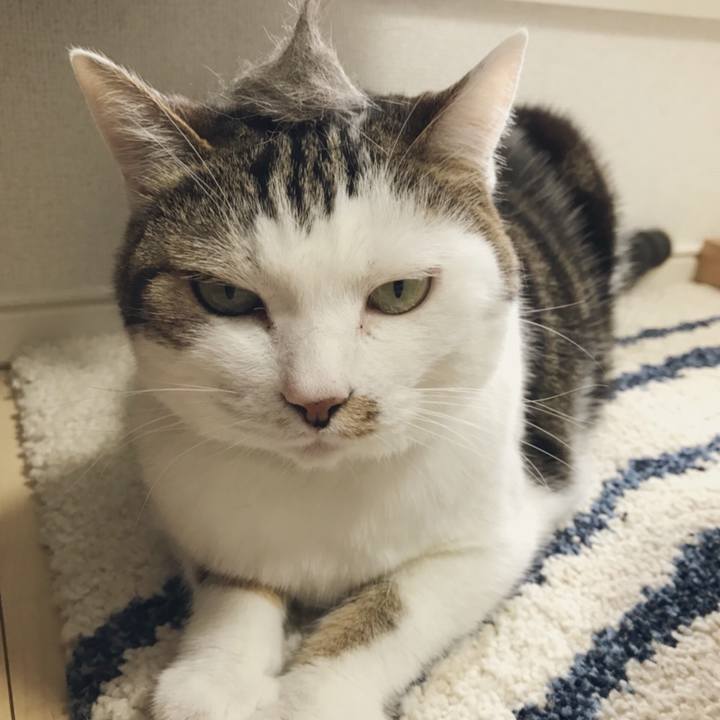 2ec552b6 108a 43b4 b96f d9b6ce4bdf50 1525252856228