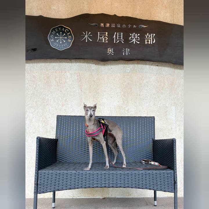 2ec5bb09 ecd5 4f9e b43a 7d1667da8e73 1761379530620