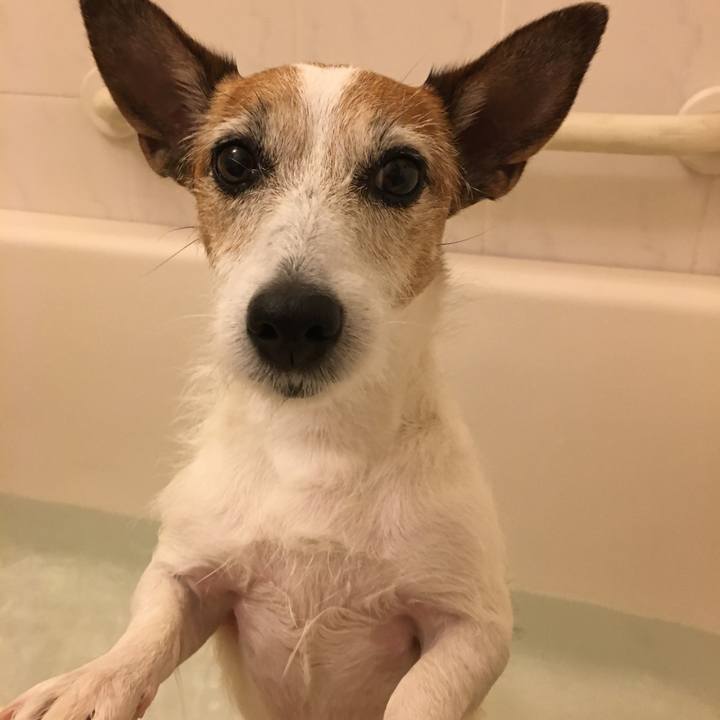 2ec5d7be 97dc 4bc6 a355 5e9c700bf52b 1653953035943