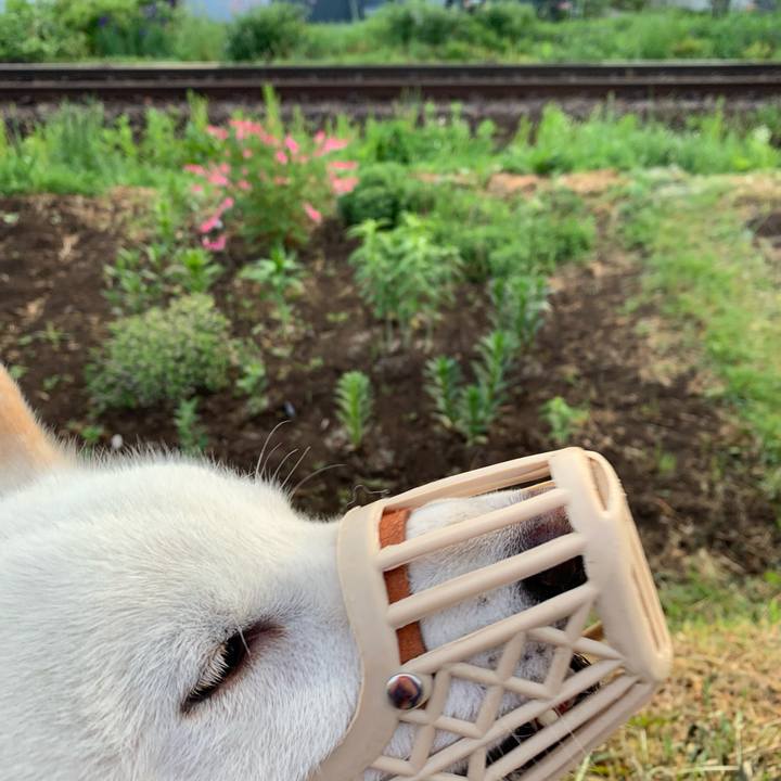 2ec5d9be c98c 4084 844e 6ea64e1f6a99 1559336837703