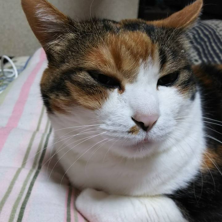 2ec5e703 ccdc 40d8 b657 e38b573e9d67 1525440297708