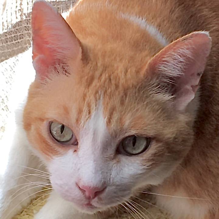 2ec614c2 98ab 41d4 a50b 4083e380d529 1598082931965