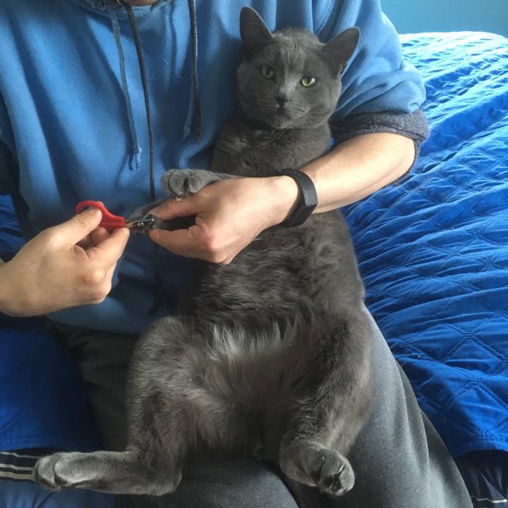 2ec66276 663e 4399 abe1 cf64beb1ead4 1633480723087