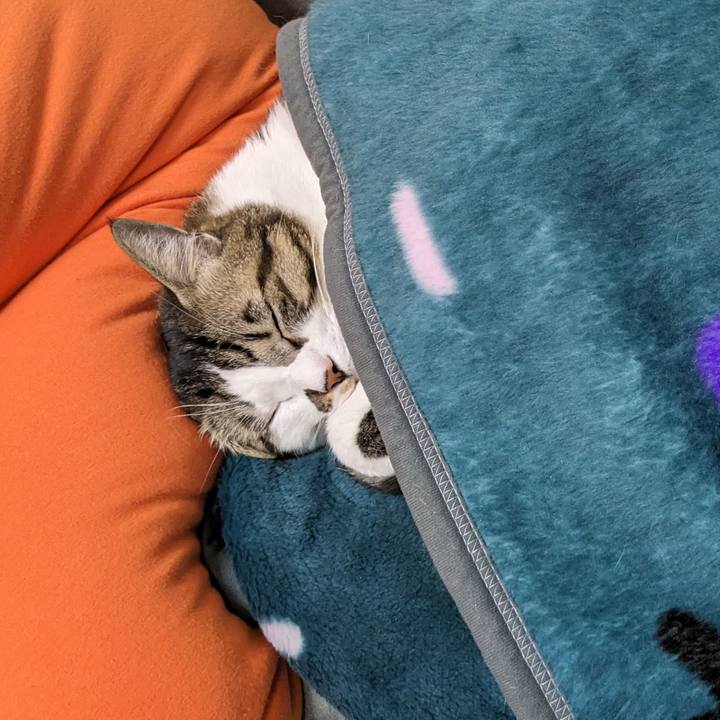 2ec6823b e5dc 410e b47b aa8c13a9afcc 1705905799630