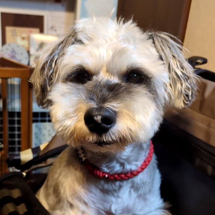 2ec6ce7b bd52 4bd9 bf58 25424e5546ff 1757511045299