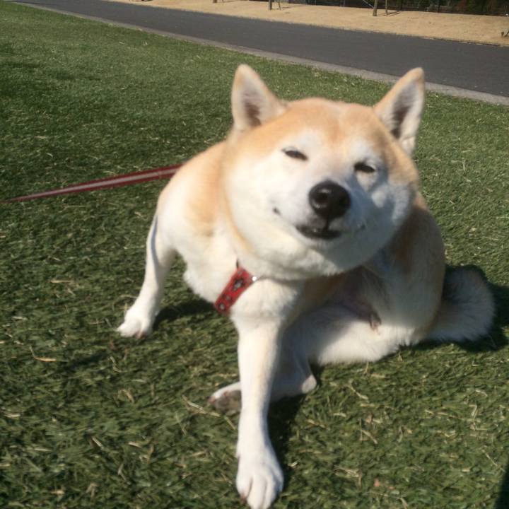 2ec6d38f 6458 426a 80dc 4edc33aae823 1540695671949