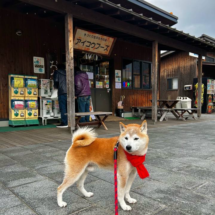 2ec6d561 45f7 47b1 bf78 50d3f754d1c0 1767783180275