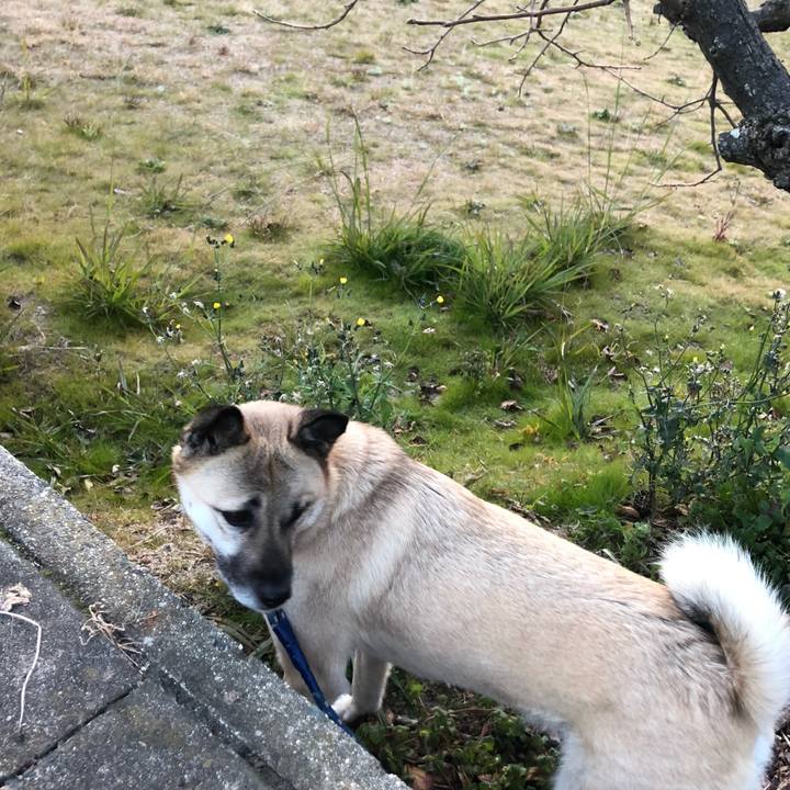 2ec6f981 5886 44ea b45a d89a5a564a7c 1608465865282