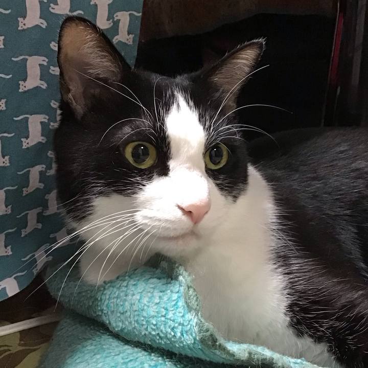 2ec6fb08 fb68 4015 b48c fcb3065d568a 1761051911846