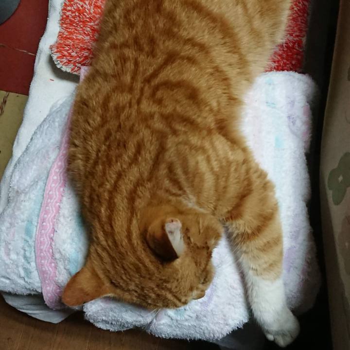 2ec725ab 93f1 4ff0 ba04 81c24531843b 1551333749617