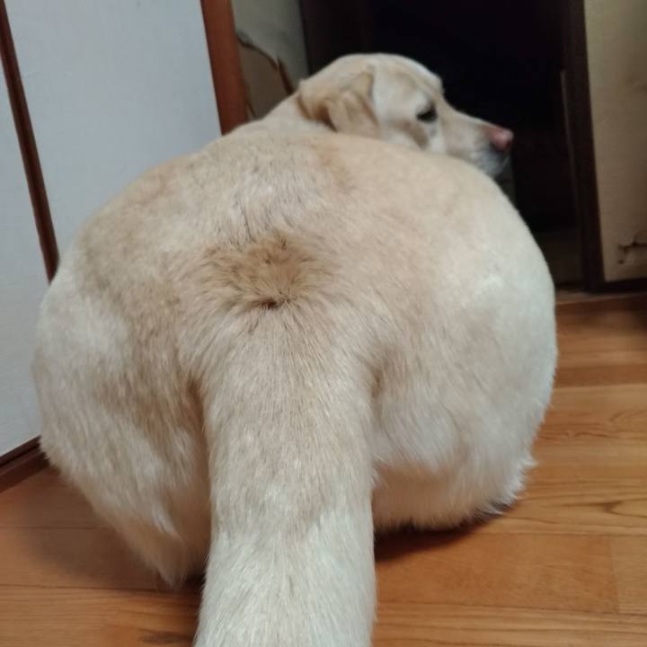 2ec72f20 00df 44d8 bbfb cf3d0603707d 1642596666139