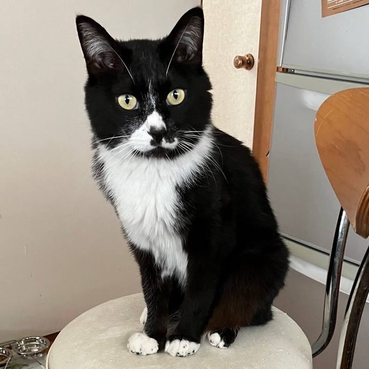 2ec7494e 5009 4b3e a27a 65e58892ad96 1690860721110