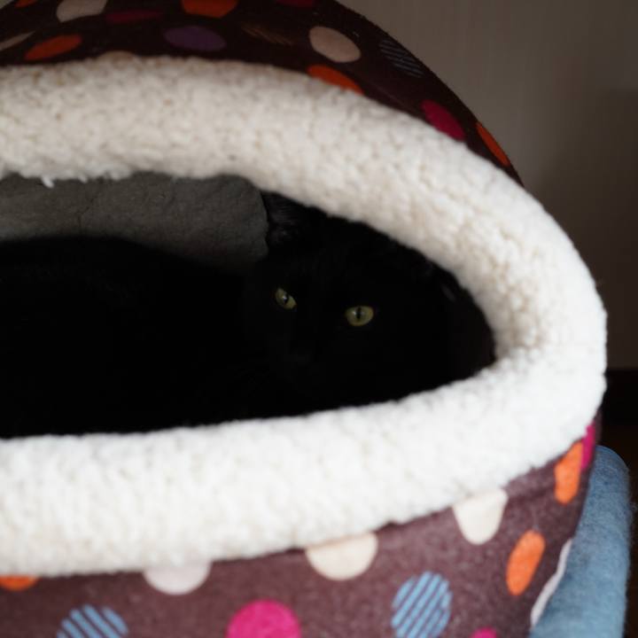 2ec74adf 1edf 4d39 83d8 3974a90895e0 1572997092029