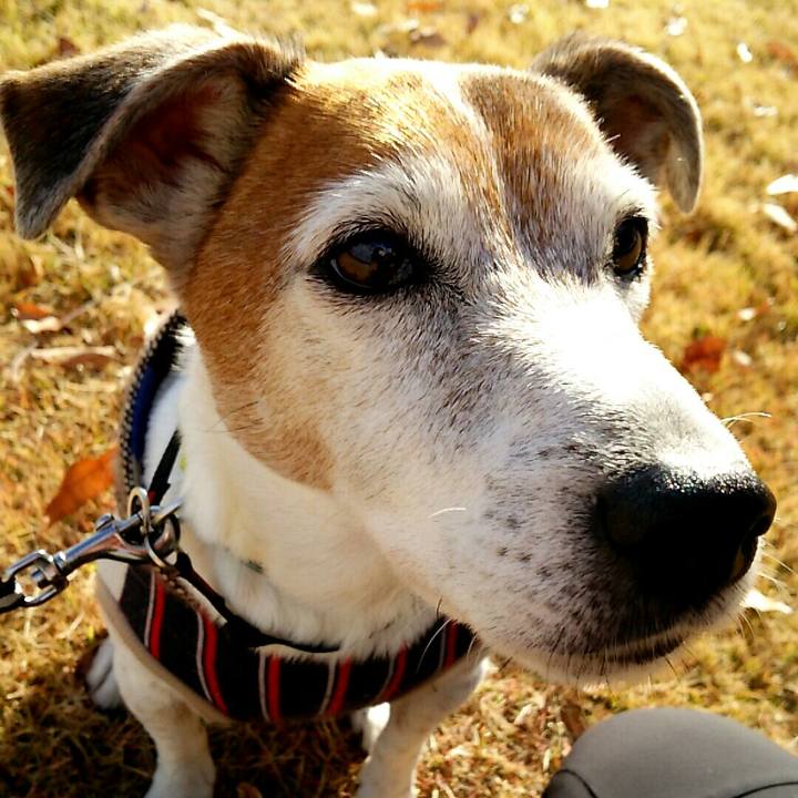 2ec78b1b c669 4392 b006 8c870bde117a 1512207421636