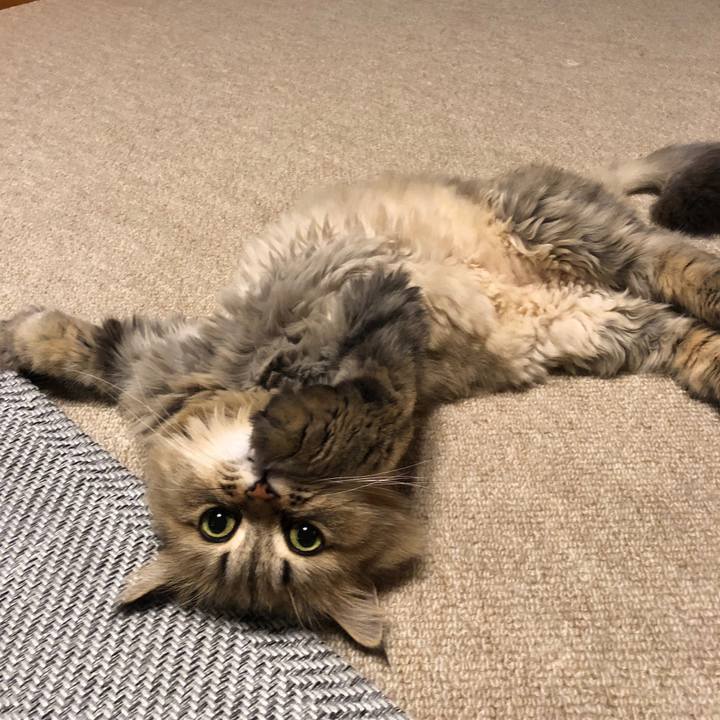 2ec78d90 01e1 49fc 8e24 5f6a2f0453b7 1563021186705