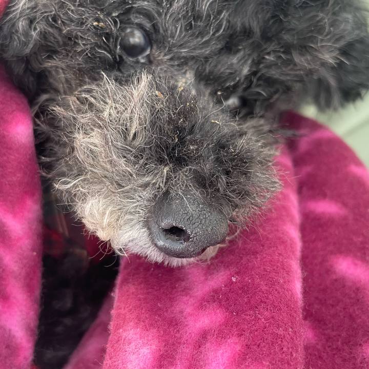 2ec79071 06c8 4a28 a23f 8921700d0b9a 1762736773006