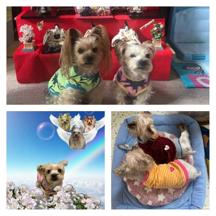 2ec7a40c 3072 44ed be63 0a6280a16909 1709622793052