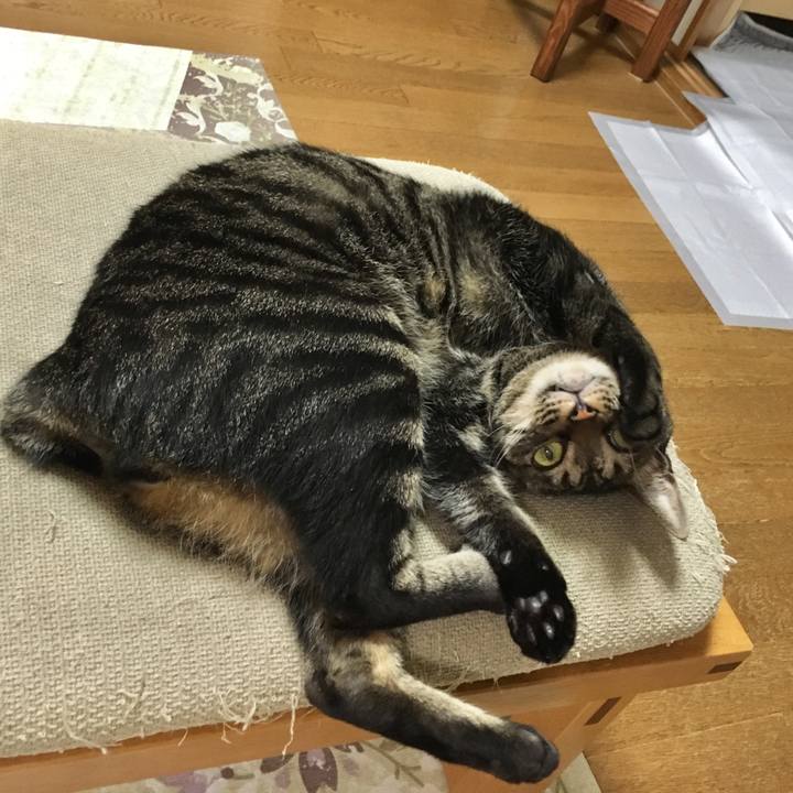 2ec7a9d5 4a8c 41ee 9463 d01122f2e737 1568627871188