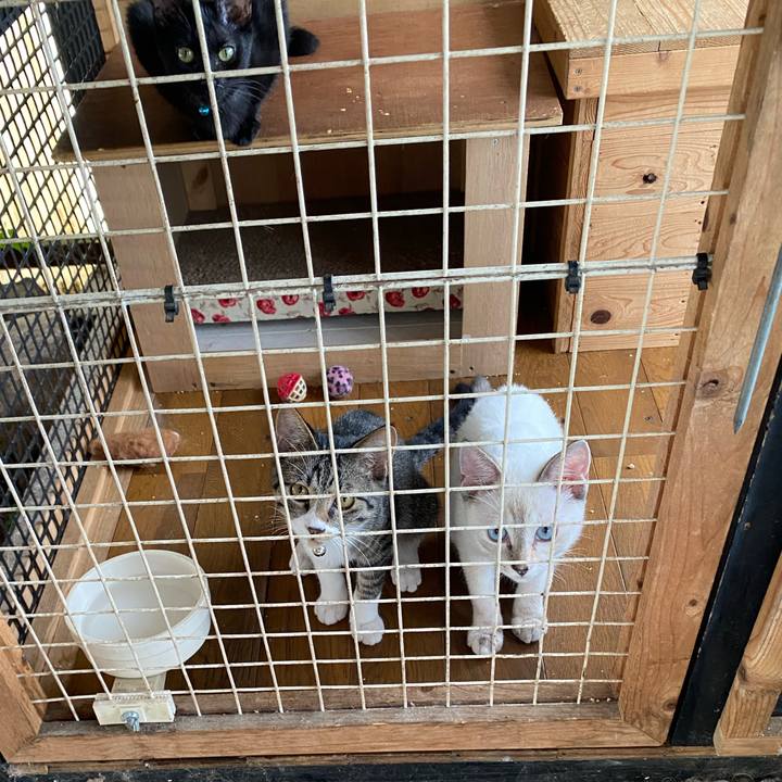 2ec7bb14 c610 4ee4 bbbd 72dee30b67c7 1631418394863