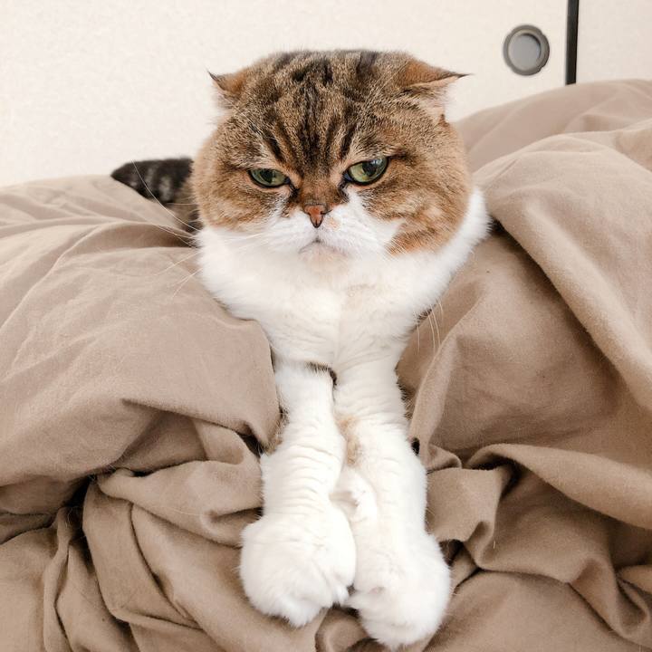 2ec7e9d6 ffb0 4698 a083 1426dcbe14e3 1588479177119