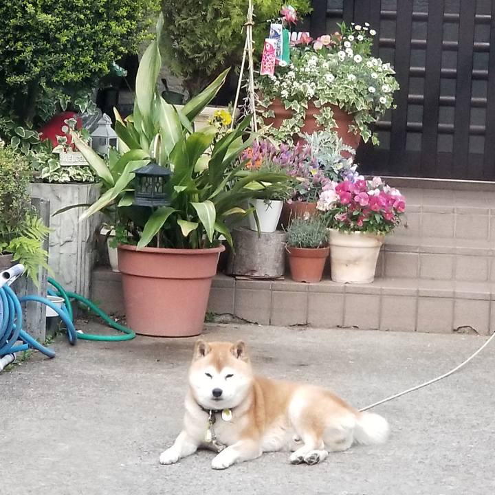 2ec7eb95 e6cc 4970 9934 d0e7e023b613 1652779102503