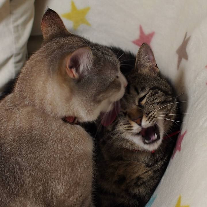 2ec843e5 b000 4e3a a56d 70f50c03d506 1562505324576