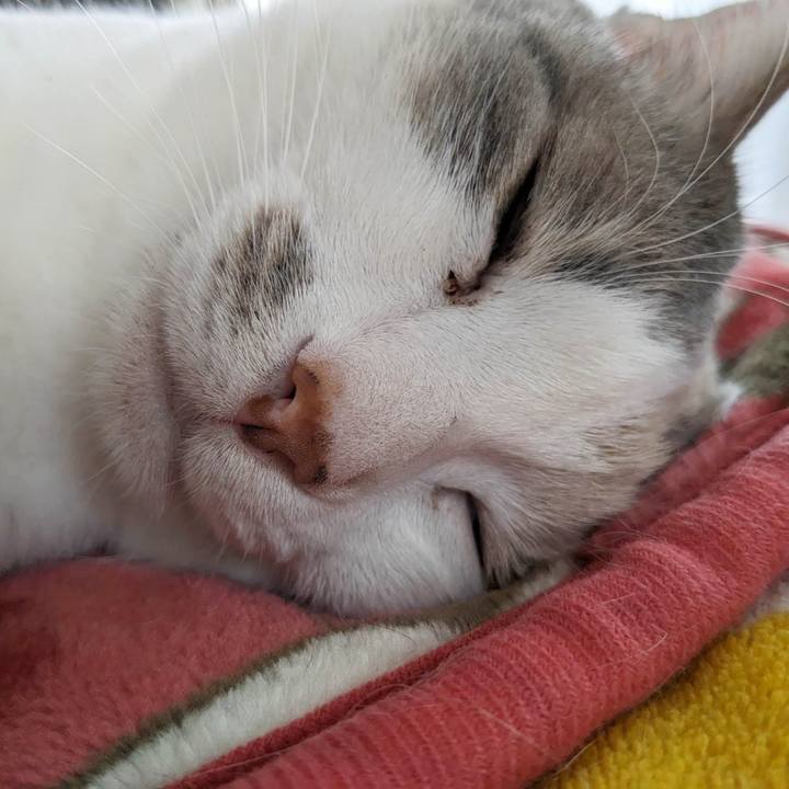 2ec8637d 1e61 4e34 8c01 c14721beff03 1684816177114