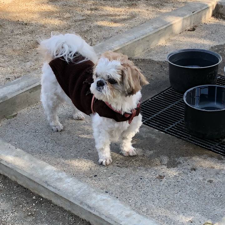 2ec87d24 e778 46aa 9905 5a6460552ea6 1521064483886