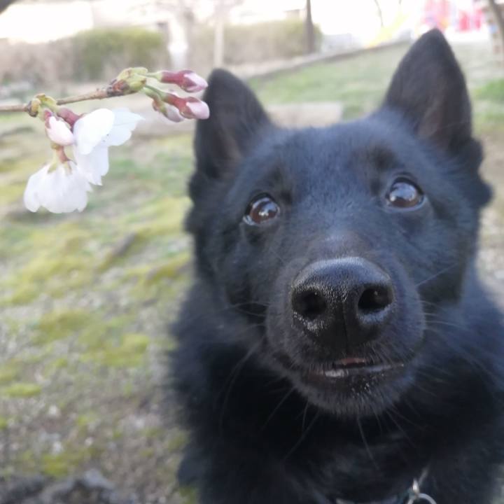 2ec8acd8 1010 449f bf48 9d881638676b 1648371845417