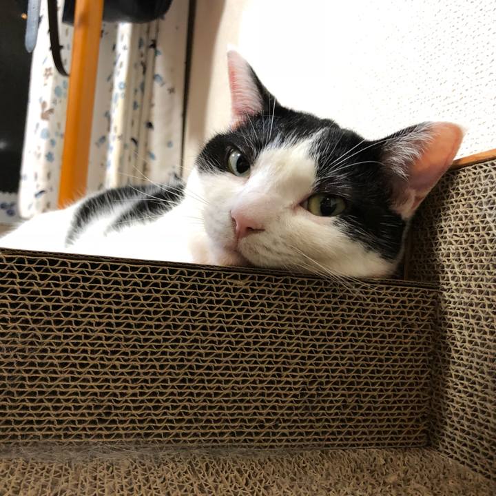 2ec8c1a8 efab 411a a49c 811061d87db6 1531412244229