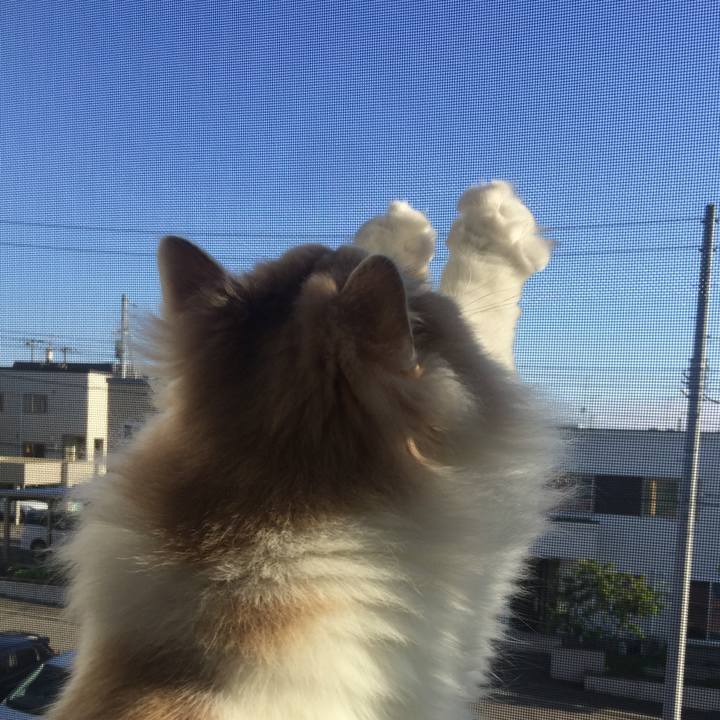 2ec8e49c 7a09 49ac 9644 47ecbfb1e714 1531363247720