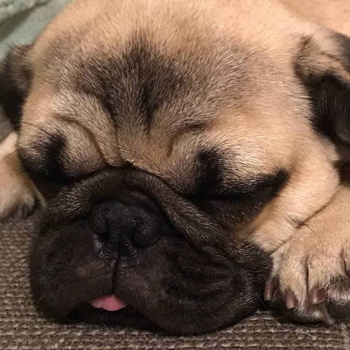 2ec964b7 0a7c 4290 8530 97db59d40dec 1541197445131