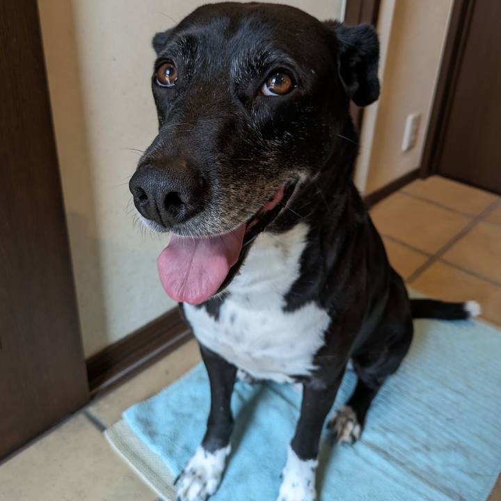 2ec97b07 a5ca 4f0d 8588 98207a3cb600 1716425433496