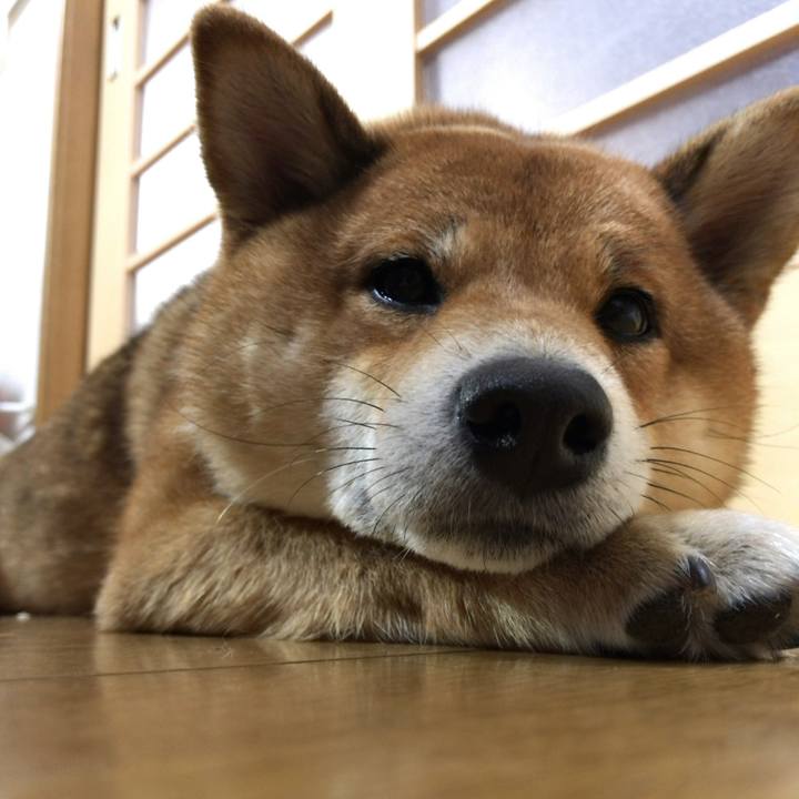 2ec98684 ca67 4896 8960 a78747d28728 1552644946035