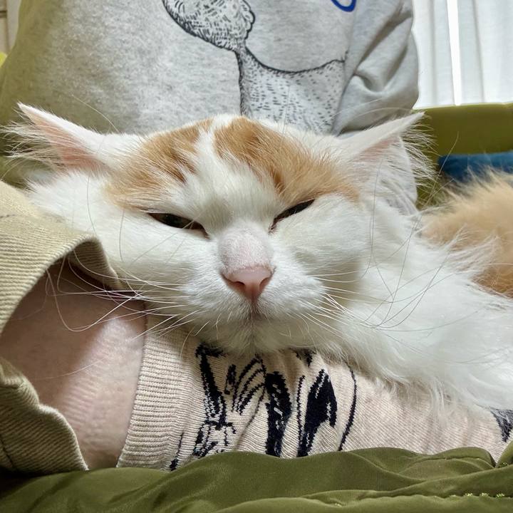 2ec9afce 9784 4b42 809c f8b19fa15fc7 1772932212431