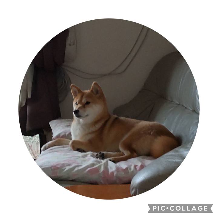 2ec9bfb4 ae99 4ef1 9484 5dada7656d4c 1673063428800