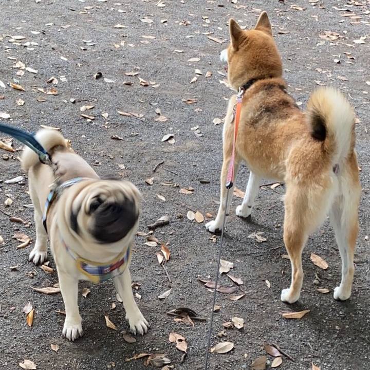 2ec9d90c 9357 43f5 b8a1 233a10803e77 1603176908565